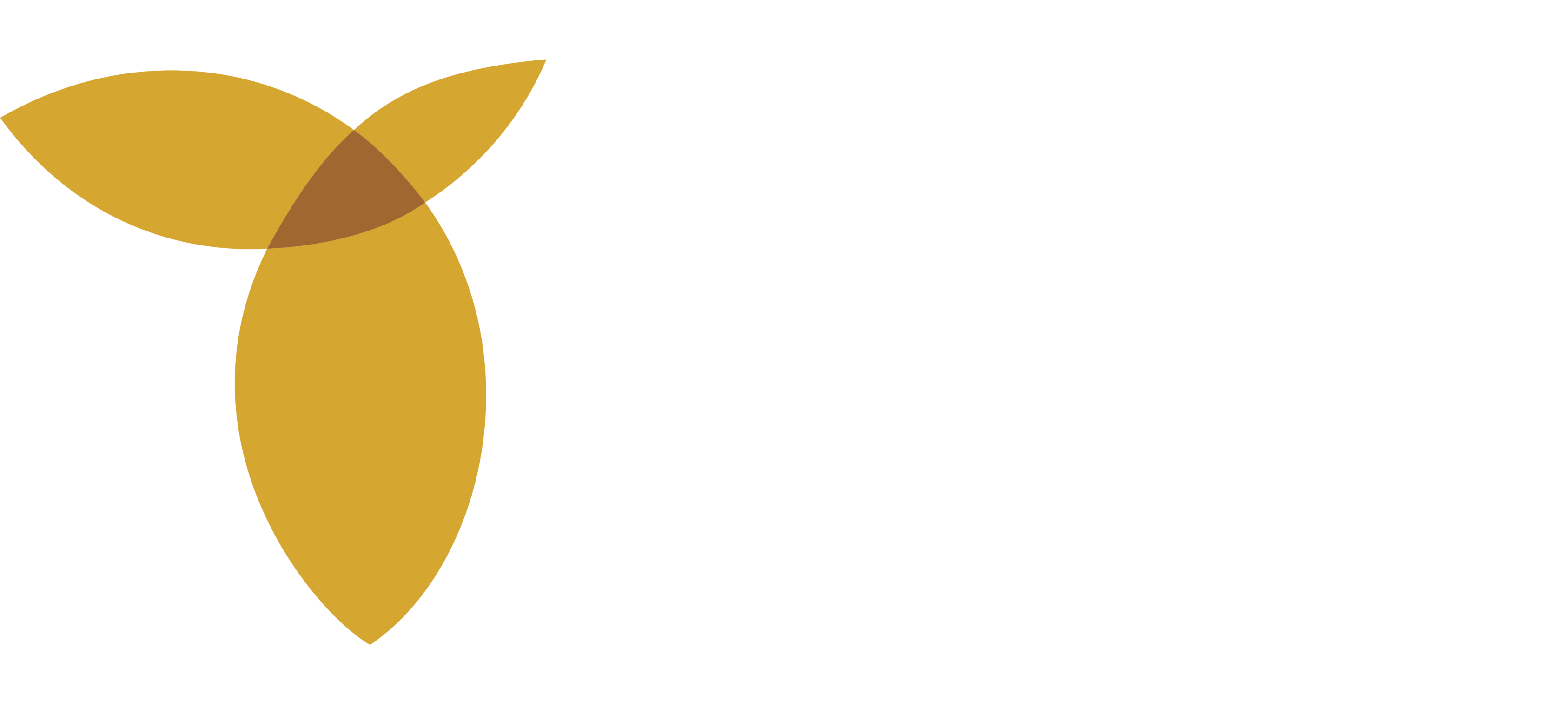Logo Grupo Tess Contabilidade
